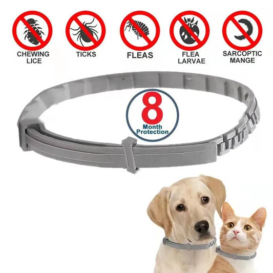 Cat Collar Dog Anti-flea Anti-lick Adjustable Collars 8 Month Protection - Annie Paw WearCollar & LeashAnnie Paw Wear