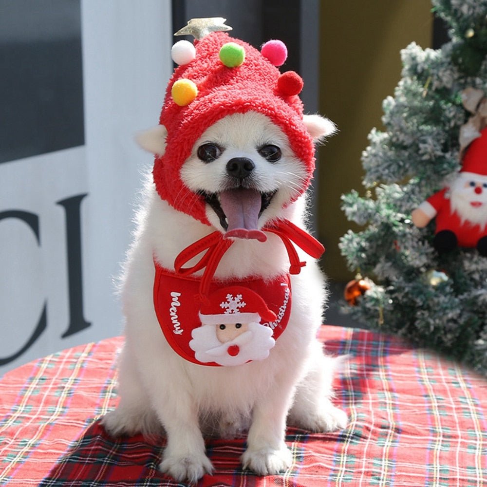 Christmas Santa Hat & Bandana Set: Winter Costume Accessories for Dogs - Annie Paw WearcostumesAnniePaw Wear