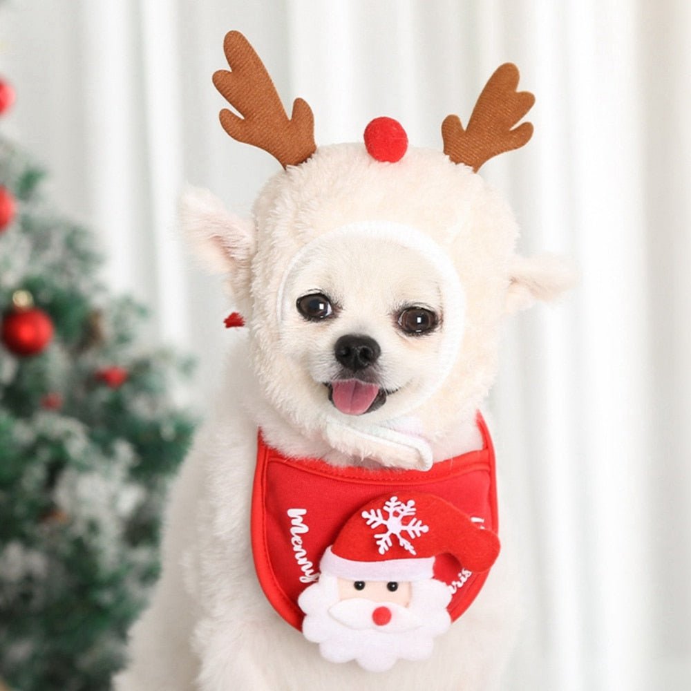 Christmas Santa Hat & Bandana Set: Winter Costume Accessories for Dogs - Annie Paw WearcostumesAnniePaw Wear