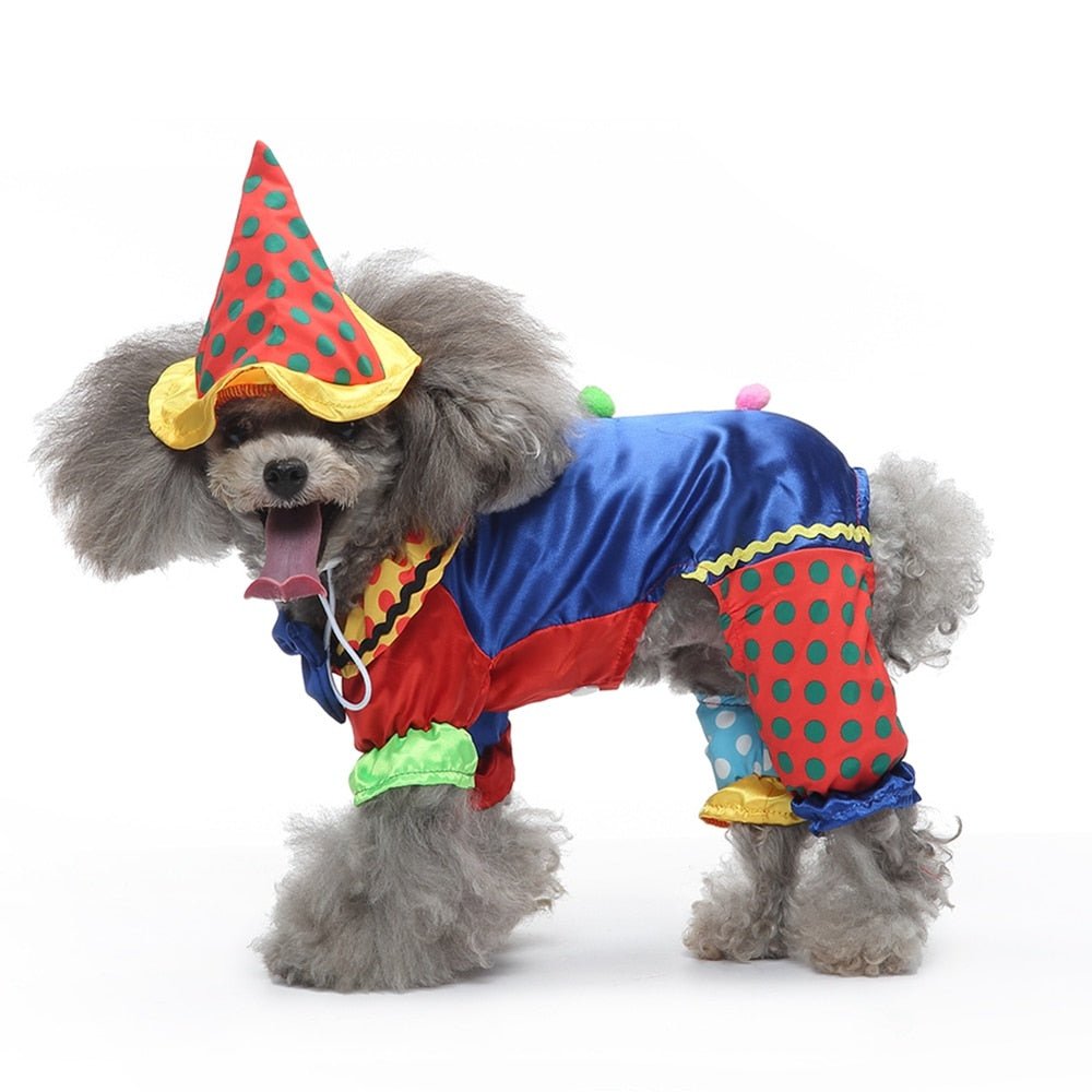 Clown Cosplay Pet Costume: Halloween Outfit for Small Dogs Cats Chihuahua Puppy Clothing and Accessories - Annie Paw WearcostumesAnniePaw Wear