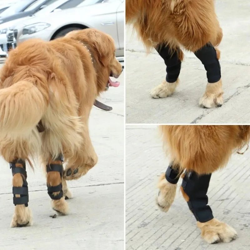 Dog Bandages Injury Leg Knee Brace Strap Protection - Annie Paw WearNursing & ReliefAnnie Paw Wear