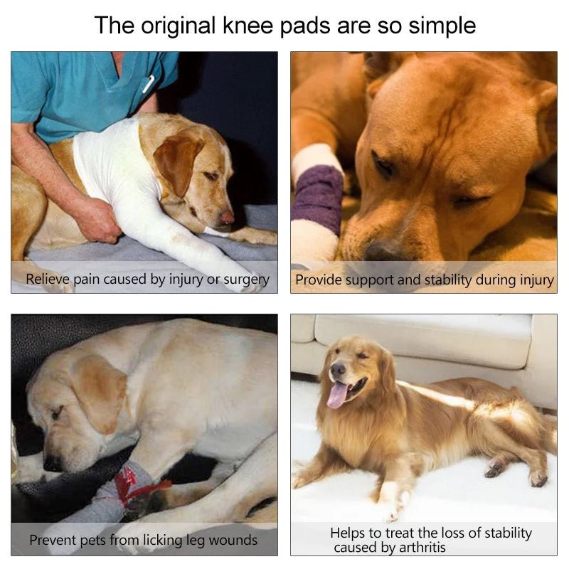 Dog Bandages Injury Leg Knee Brace Strap Protection - Annie Paw WearNursing & ReliefAnnie Paw Wear