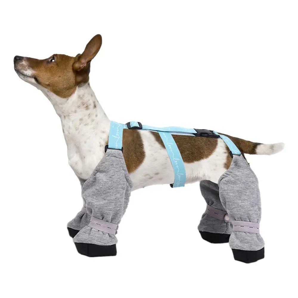 Dog Boot Waterproof Leggings For Paw Protection Dog Snow boots For Winter Dirty-Proof Anti-Fall Dog Outdoor Walking Supplies - Annie Paw WearShoes &Boots &SocksAnnie Paw Wear