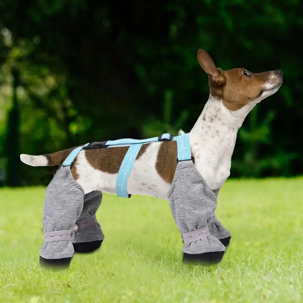 Waterproof dog leggings on sale
