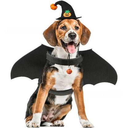 Dog Cat Halloween Witch Hat Pumpkin Smile Costume Photo Prop Party Headwear - Annie Paw WearcostumesAnniePaw Wear