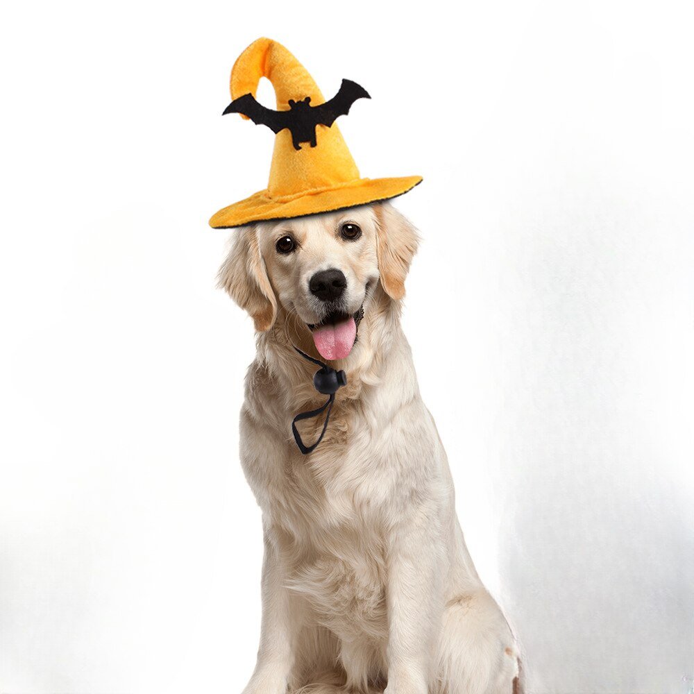 Dog Cat Halloween Witch Hat Pumpkin Smile Costume Photo Prop Party Headwear - Annie Paw WearcostumesAnniePaw Wear