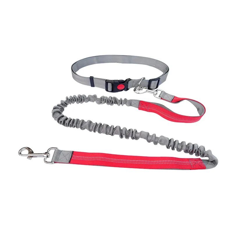 Dog Leash Nylon Hand Freely Dogs Harness Collar Jogging Running Lead Adjustable Waist Leashes Traction Belt Rope Pet Products - Annie Paw WearCollar & LeashAnniePaw Wear