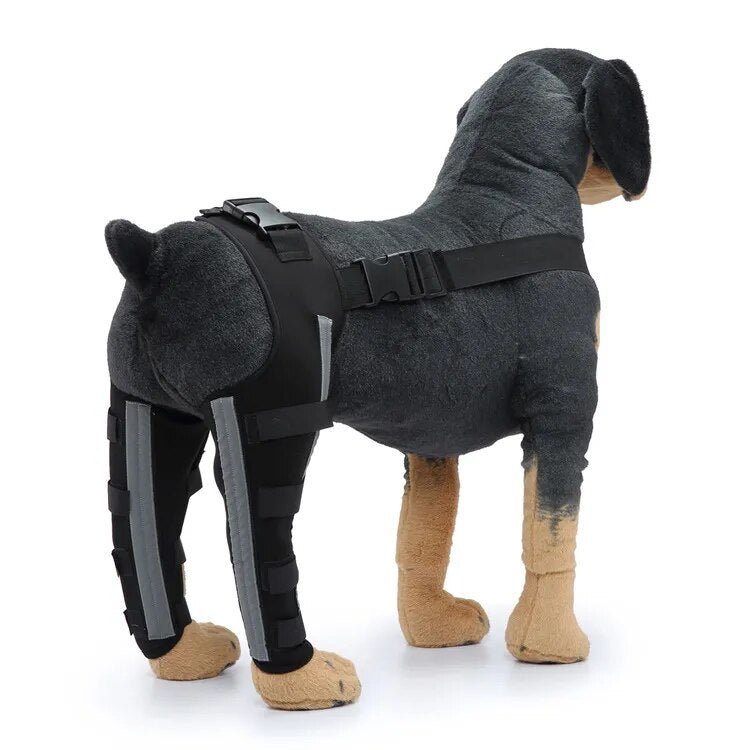 Dog Leg Recovery Braces Support: Quality Care for Canine Leg Health - Annie Paw WearNursing & ReliefAnniePaw Wear