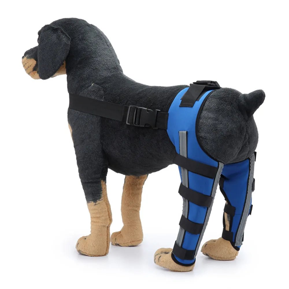 Dog Leg Recovery Braces Support: Quality Care for Canine Leg Health - Annie Paw WearNursing & ReliefAnniePaw Wear