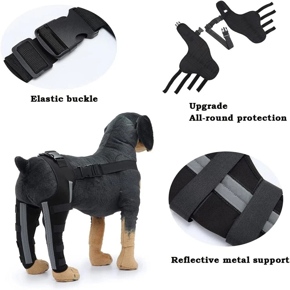 Dog Leg Recovery Braces Support: Quality Care for Canine Leg Health - Annie Paw WearNursing & ReliefAnniePaw Wear