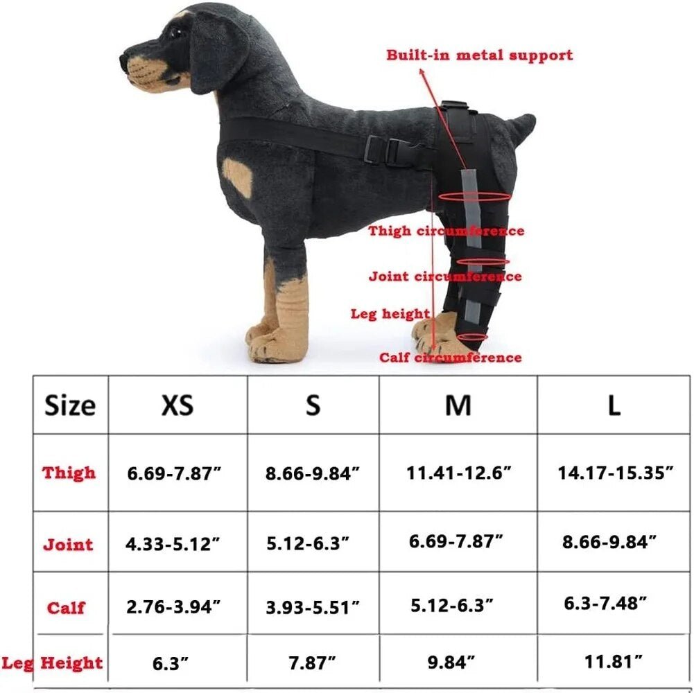 Dog Leg Recovery Braces Support: Quality Care for Canine Leg Health - Annie Paw WearNursing & ReliefAnniePaw Wear