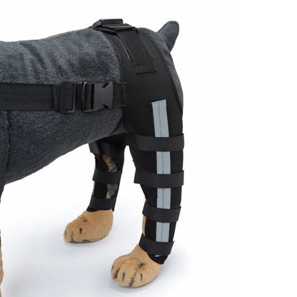 Dog Leg Recovery Braces Support: Quality Care for Canine Leg Health - Annie Paw WearNursing & ReliefAnniePaw Wear