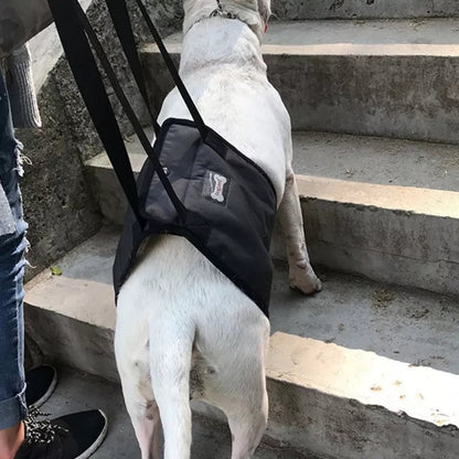 Dog Lift Sling: Adjustable Support for Weak Back Legs - Annie Paw WearNursing & ReliefAnniePaw Wear