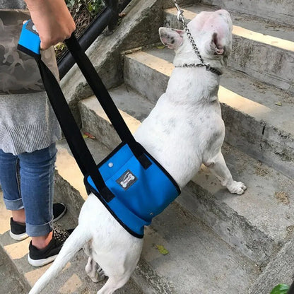 Dog Lift Sling: Adjustable Support for Weak Back Legs - Annie Paw WearNursing & ReliefAnniePaw Wear