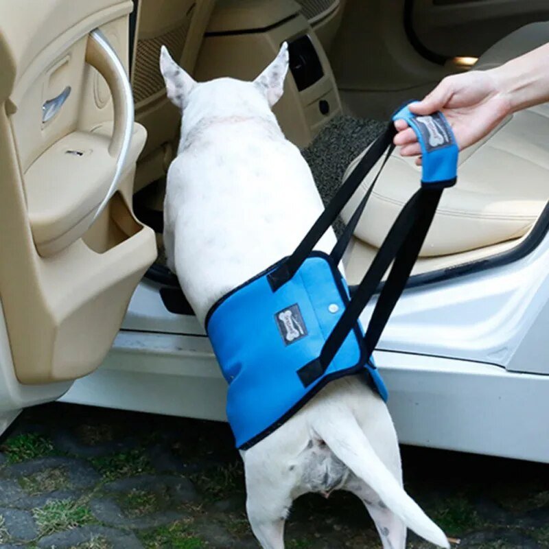 Dog Lift Sling: Adjustable Support for Weak Back Legs - Annie Paw WearNursing & ReliefAnniePaw Wear