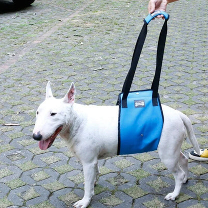 Dog Lift Sling: Adjustable Support for Weak Back Legs - Annie Paw WearNursing & ReliefAnniePaw Wear