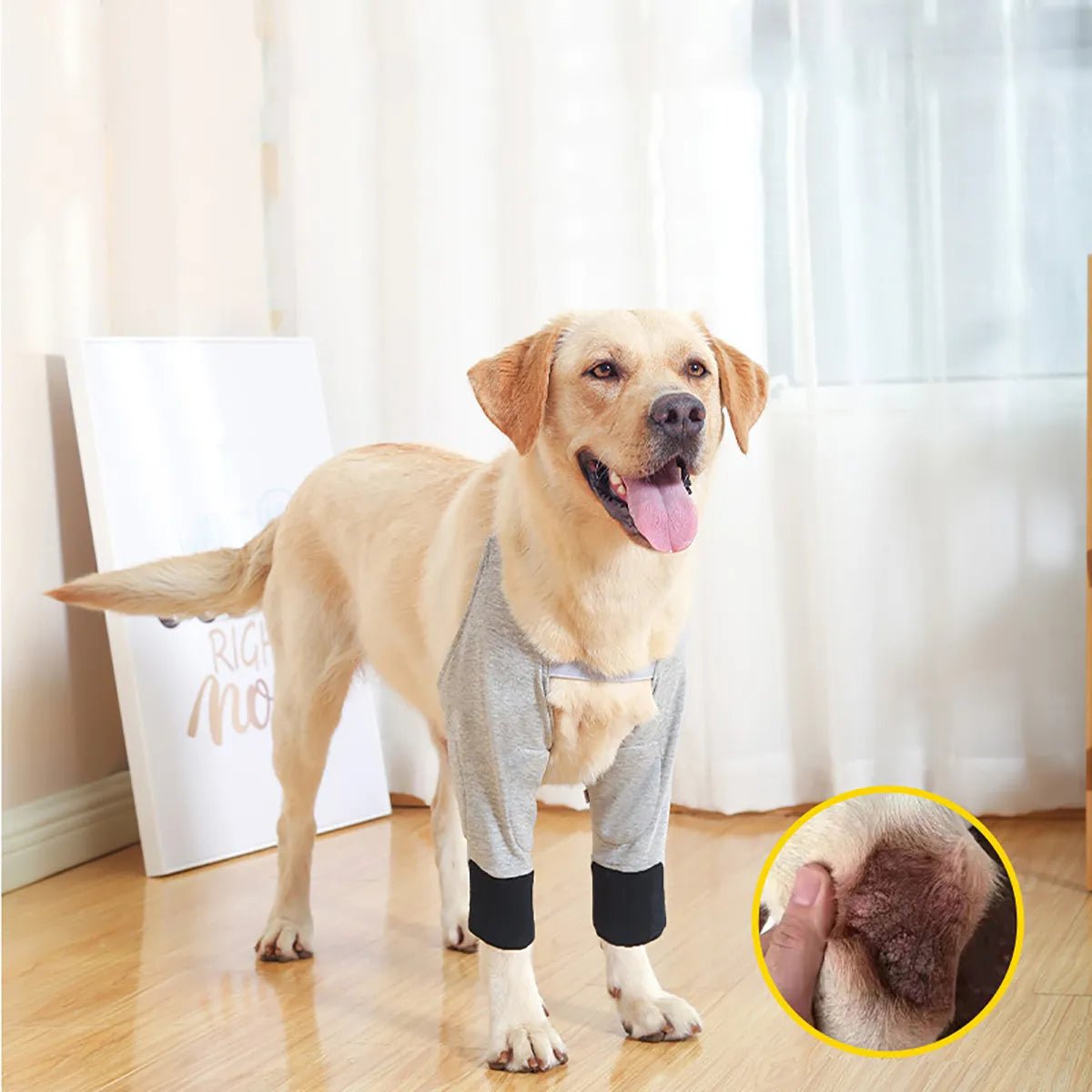 Dog Pain Relief Shoulder Support Elbow Protector Pad - Annie Paw WearNursing & ReliefAnnie Paw Wear