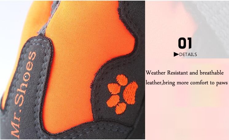 Dog Shoes For Sports Mountain Wearable PVC Soles Waterproof Reflective Boots - Annie Paw WearShoes &Boots &SocksAnniePaw Wear