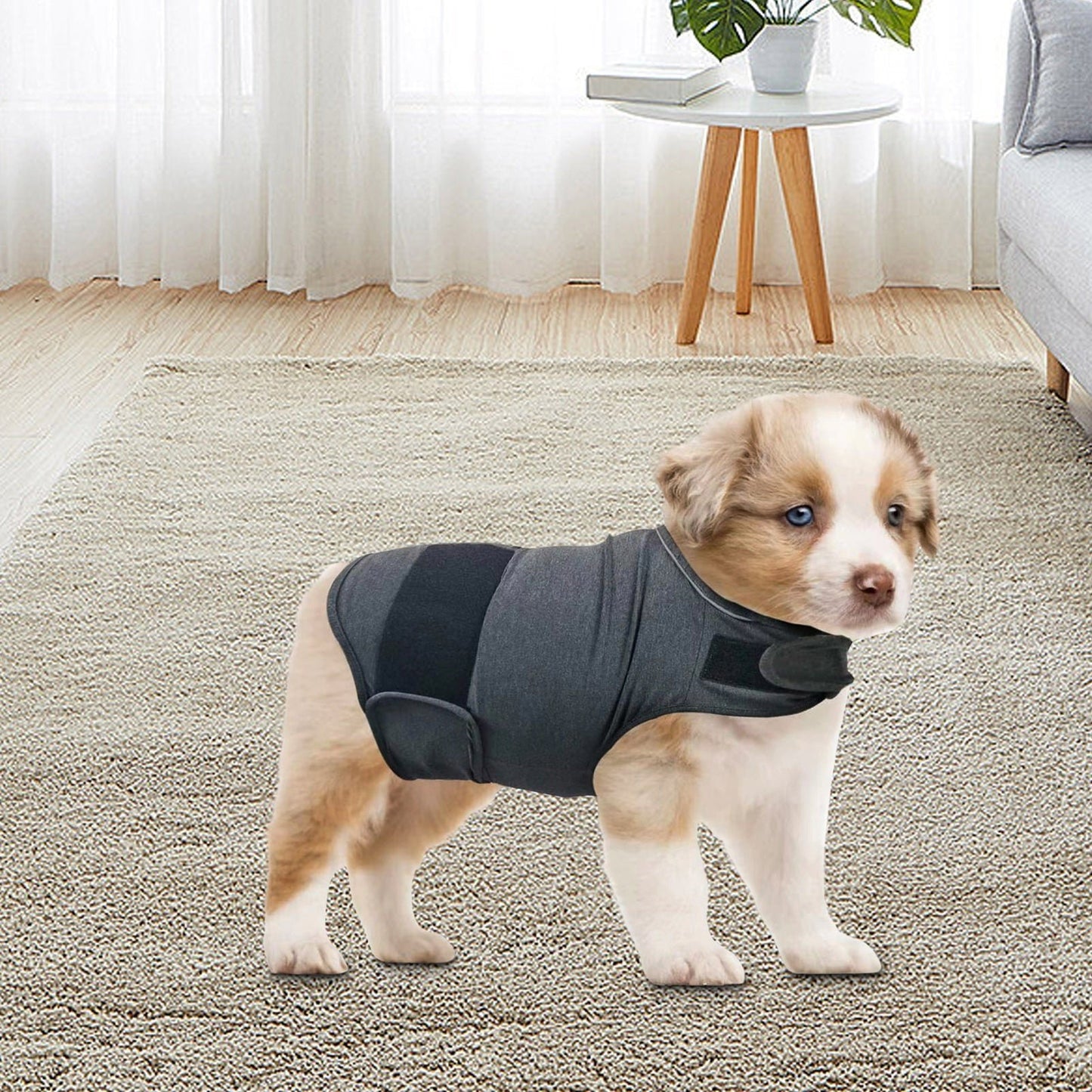 Dog Thunder shirts Anxiety Jacket Thunder Vests For Dogs - Annie Paw WearoutwearAnniePaw Wear