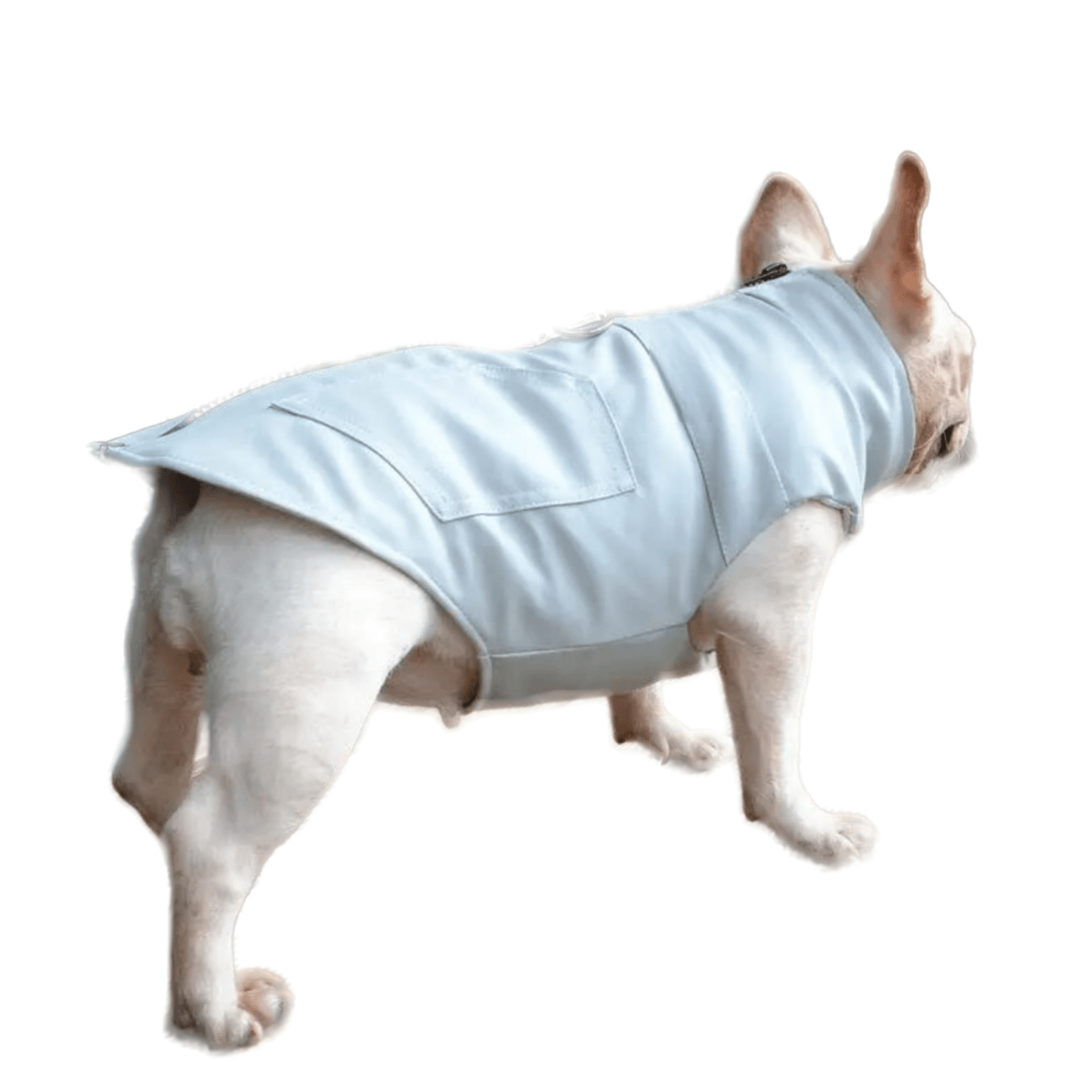 Dog Winter Waterproof Windbreaker Harness Leather Coats For Small to Large Dogs - Annie Paw WearWinter OutwearAnniePaw Wear