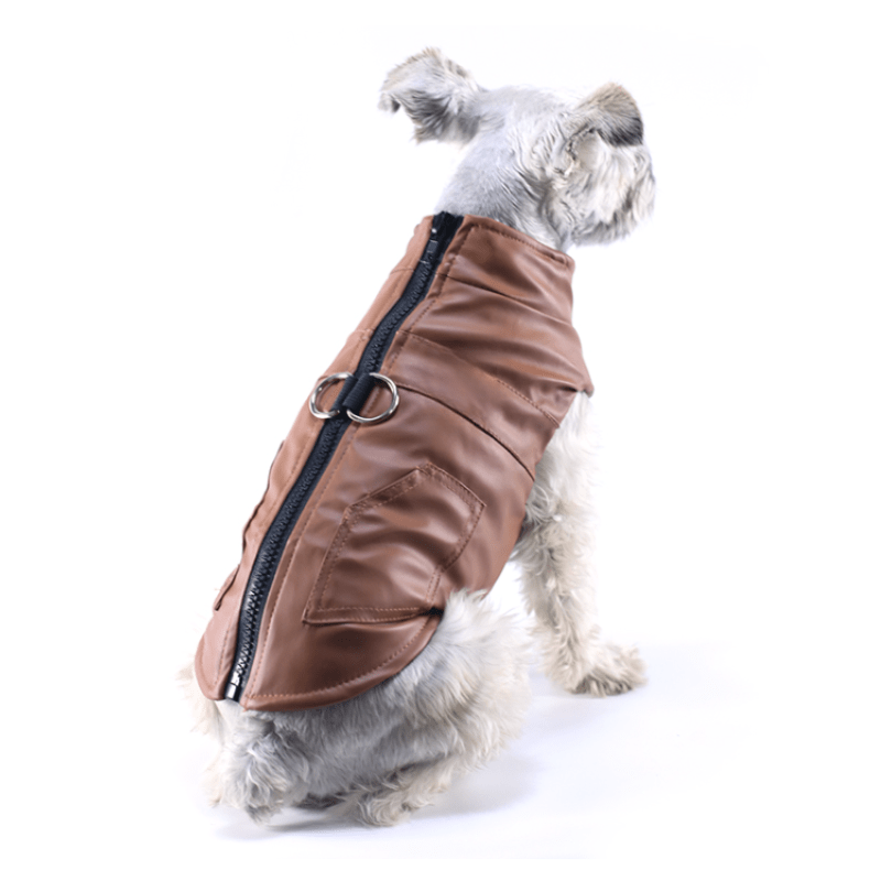 Dog Winter Waterproof Windbreaker Harness Leather Coats For Small to Large Dogs - Annie Paw WearWinter OutwearAnniePaw Wear