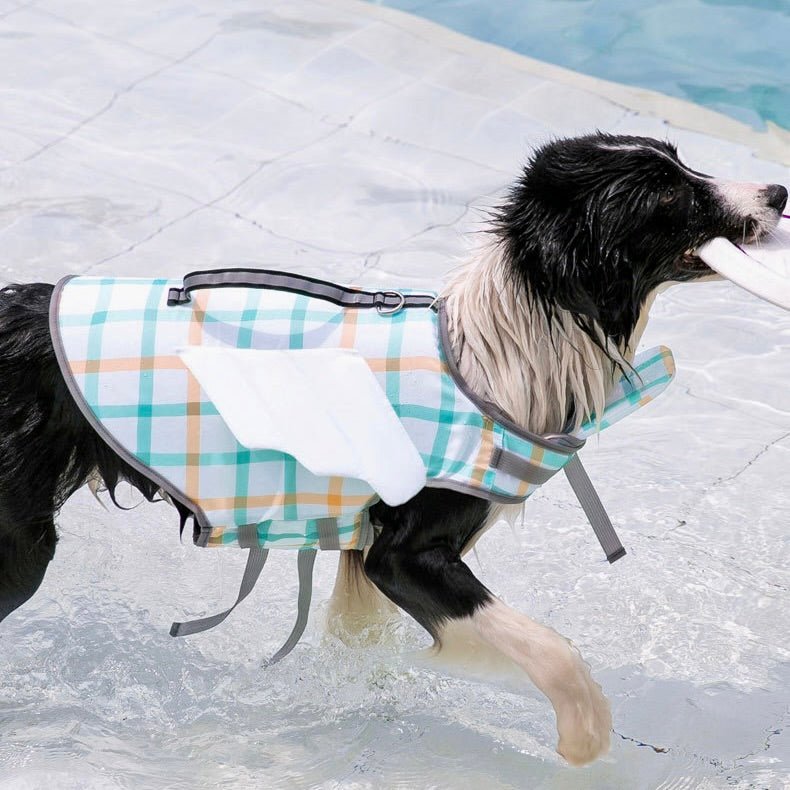 Flutter fly Checkered Pup Life Vest: Swimming Safety for All Sizes of Dogs - Annie Paw WearOutdoor WearAnniePaw Wear
