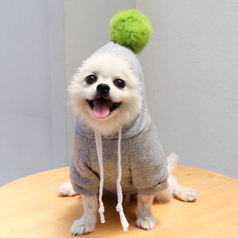 Fruit-Themed Warm Fleece Hoodie: Cute Dog Coat for Small Breeds - Annie Paw WearcostumesAnniePaw Wear