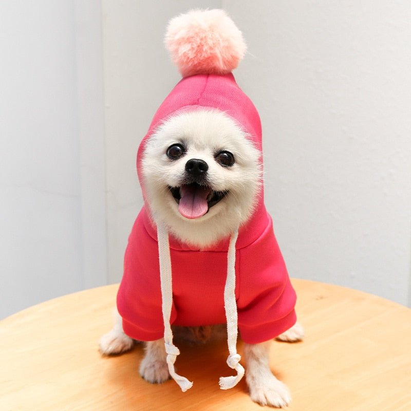 Fruit-Themed Warm Fleece Hoodie: Cute Dog Coat for Small Breeds - Annie Paw WearcostumesAnniePaw Wear