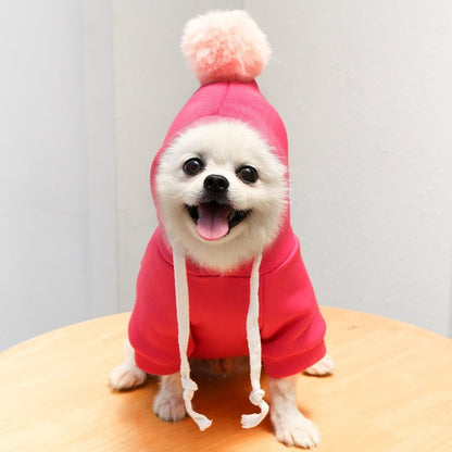 Fruit-Themed Warm Fleece Hoodie: Cute Dog Coat for Small Breeds - Annie Paw WearcostumesAnniePaw Wear