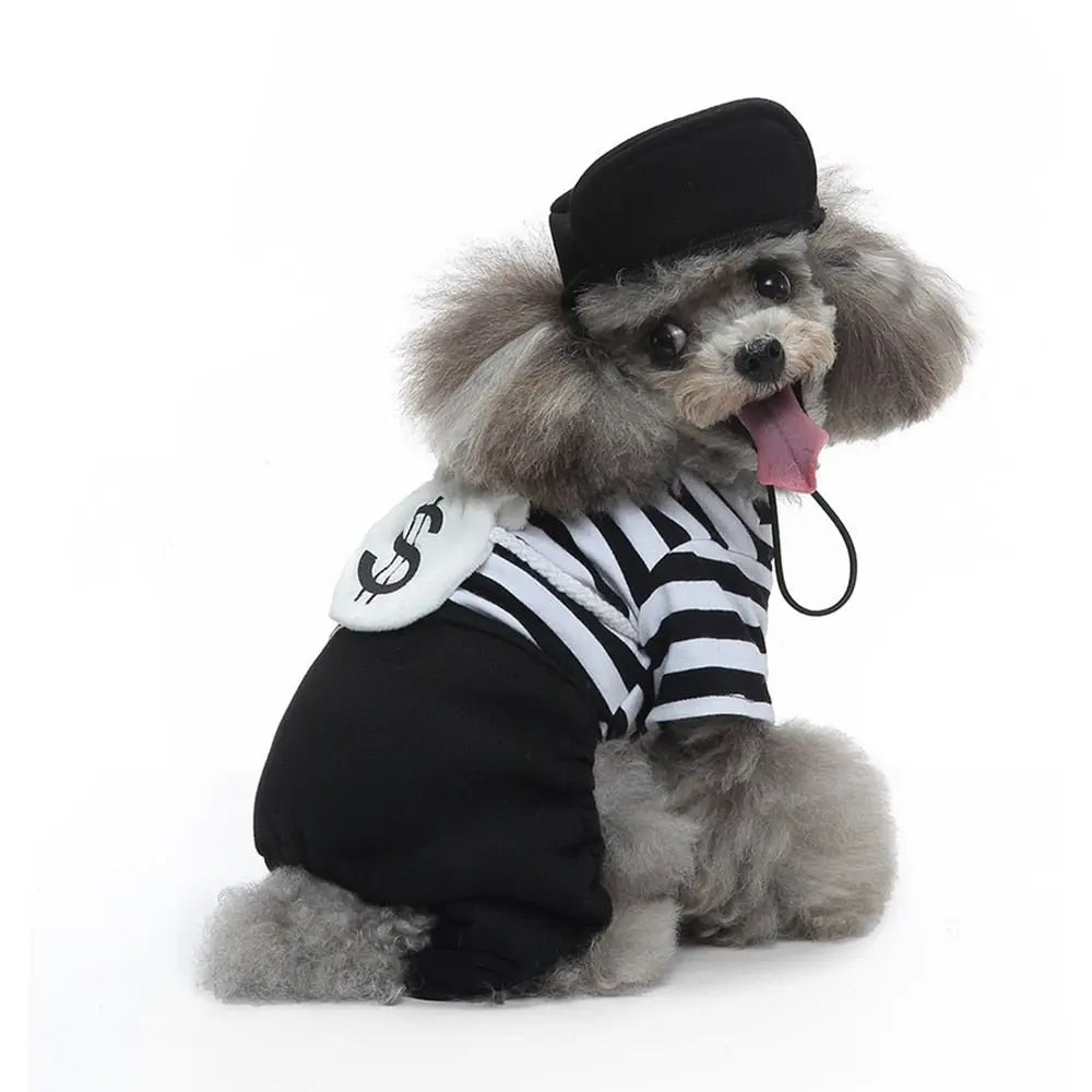 Funny Clown Costume for Pets: Halloween Cosplay Suit for Small Dogs, Cats, and Chihuahua Accessories - Annie Paw WearcostumesAnniePaw Wear