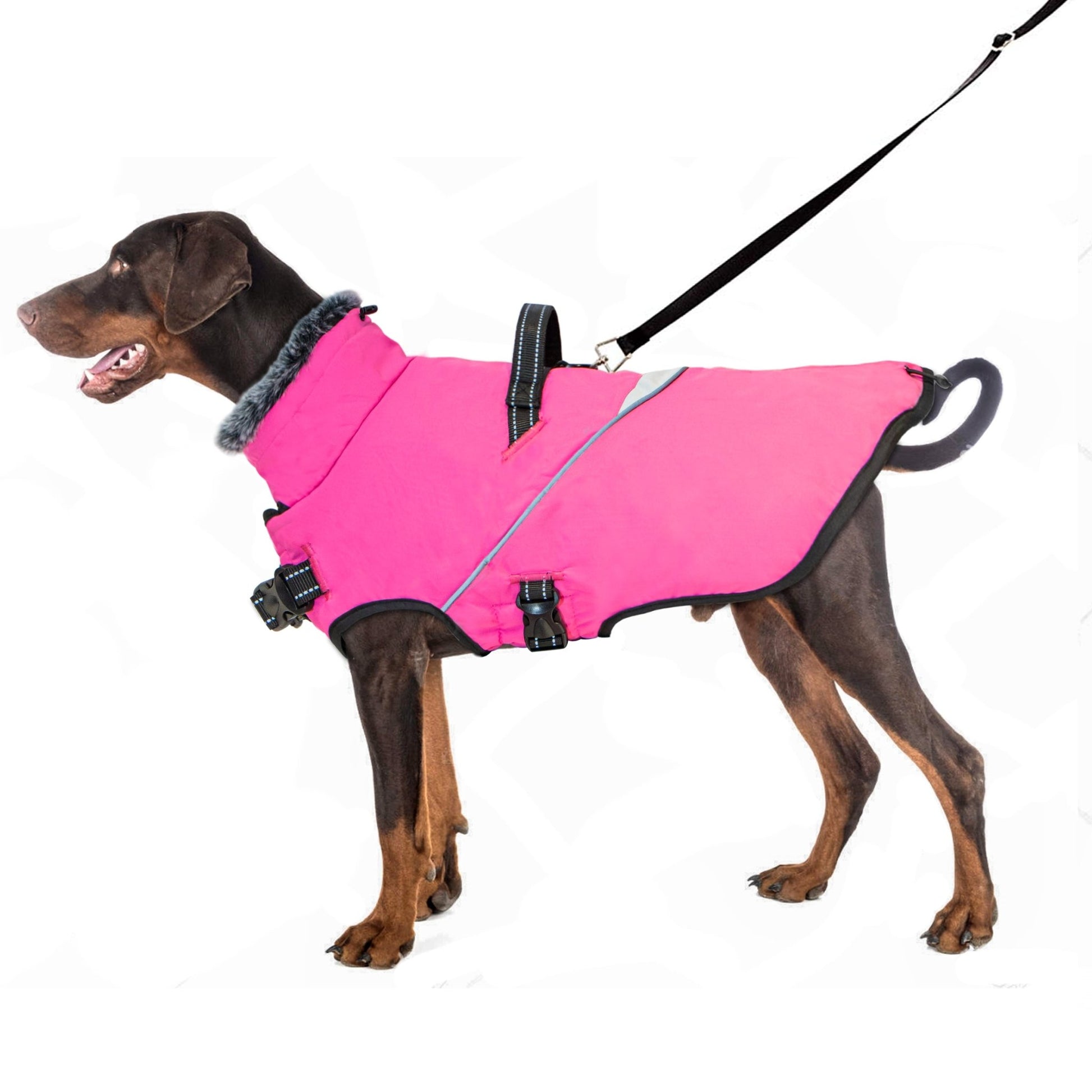 Furry Collar Winter Waterproof Snowproof Windbreaker Harness Coats - Annie Paw WearWinter OutwearAnniePaw Wear