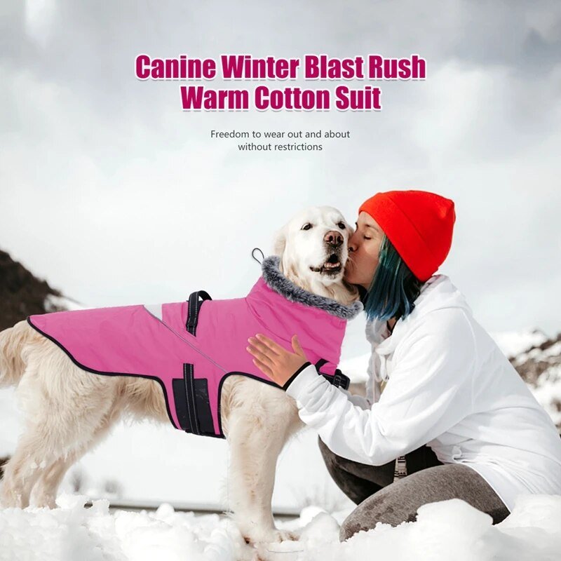 Furry Collar Winter Waterproof Snowproof Windbreaker Harness Coats - Annie Paw WearWinter OutwearAnniePaw Wear