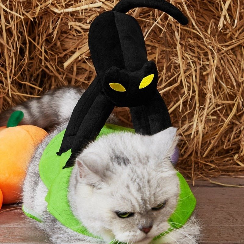 Halloween Black Cat Pet Costume: Funny Dress Up for Small to Medium Dogs and Cats for Holidays - Annie Paw WearcostumesAnniePaw Wear