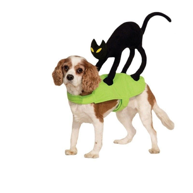 Halloween Black Cat Pet Costume: Funny Dress Up for Small to Medium Dogs and Cats for Holidays - Annie Paw WearcostumesAnniePaw Wear