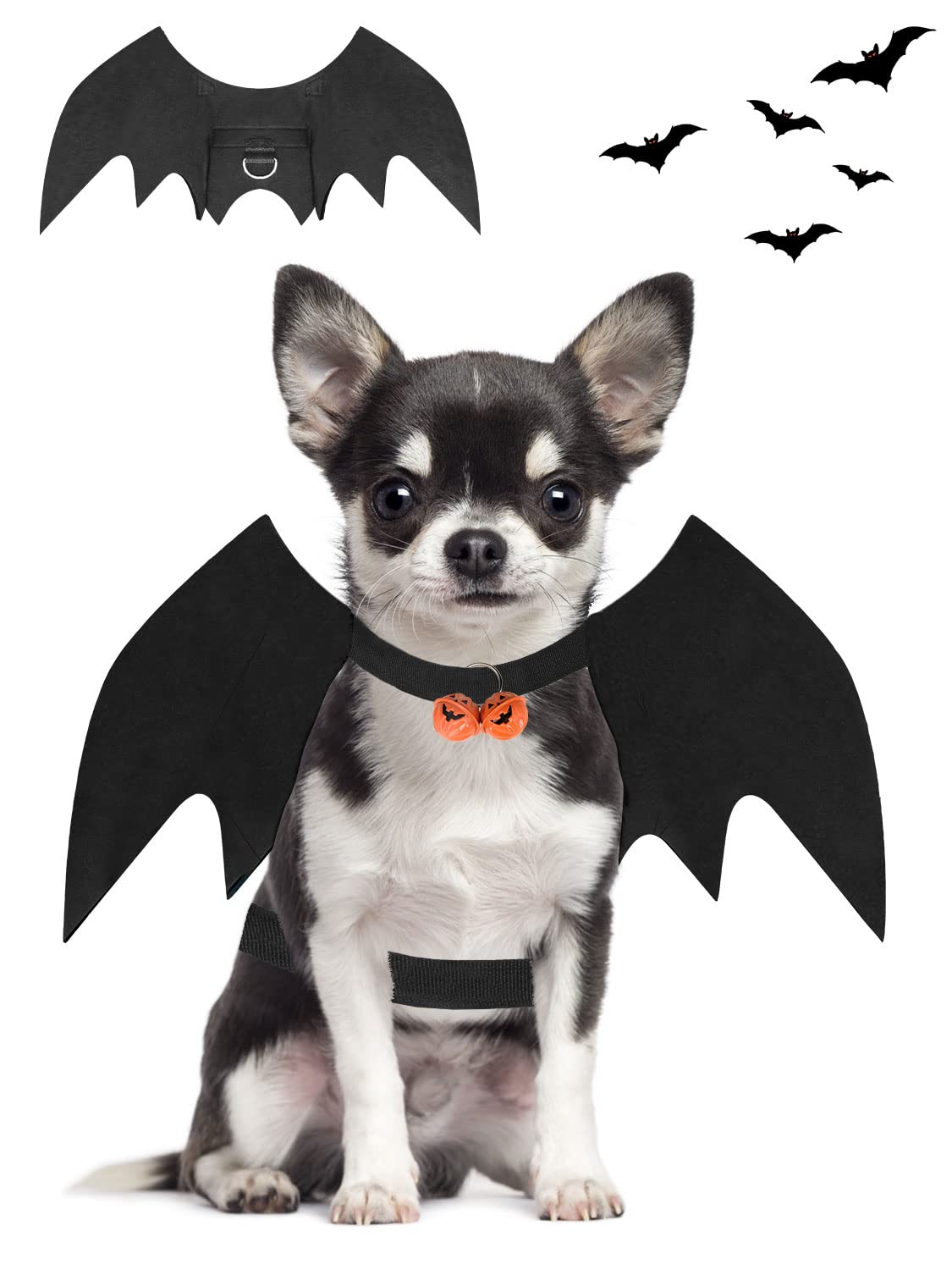 Halloween Cat Bat Wings Outfit: Funny Dog Cosplay Costume with Pumpkin Bells - Annie Paw WearcostumesAnniePaw Wear