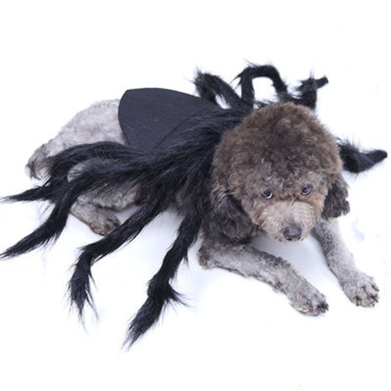 Halloween Pet Dog Cat Spider Clothes Puppy Cosplay Costume for Dogs Cats Party Cosplay Funny Outfit - Annie Paw WearcostumesAnniePaw Wear