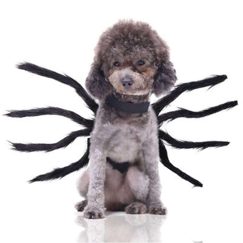 Halloween Pet Dog Cat Spider Clothes Puppy Cosplay Costume for Dogs Cats Party Cosplay Funny Outfit - Annie Paw WearcostumesAnniePaw Wear