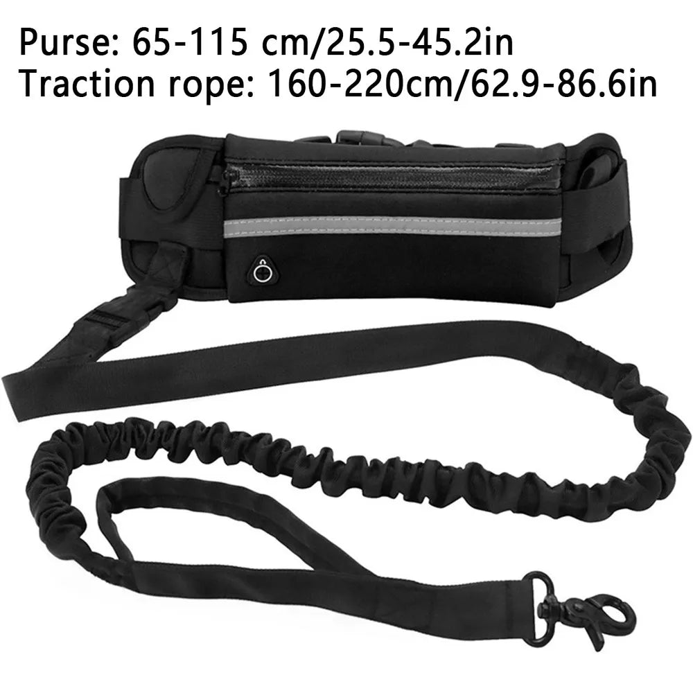 Hands Free Dog Leash for Running Walking Reflective Leash with Waist Bag Retractable Elastic Belt Dog Traction Rope - Annie Paw WearCollar & LeashAnniePaw Wear