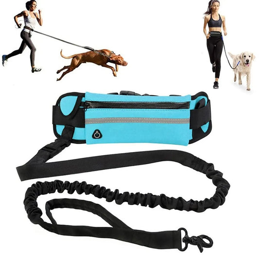 Hands Free Dog Leash for Running Walking Reflective Leash with Waist Bag Retractable Elastic Belt Dog Traction Rope - Annie Paw WearCollar & LeashAnniePaw Wear