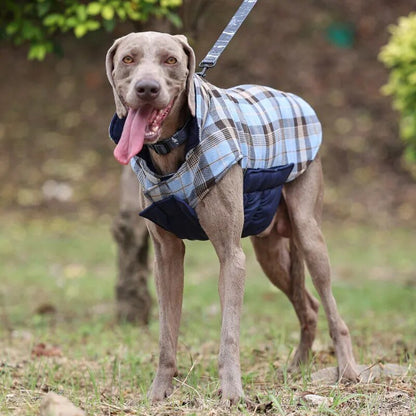 Highland Hound Dual Elegance: Plaid & Solid Turtleneck - Annie Paw WearWinter OutwearAnniePaw Wear