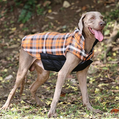 Highland Hound Dual Elegance: Plaid & Solid Turtleneck - Annie Paw WearWinter OutwearAnniePaw Wear