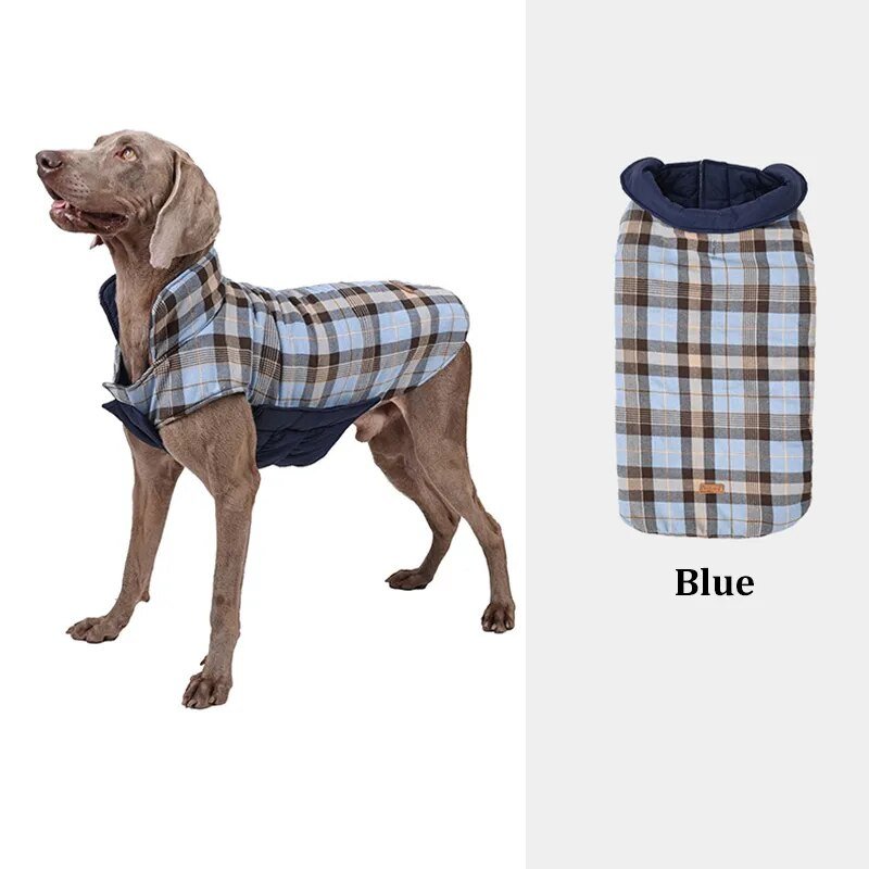 Highland Hound Dual Elegance: Plaid & Solid Turtleneck - Annie Paw WearWinter OutwearAnniePaw Wear