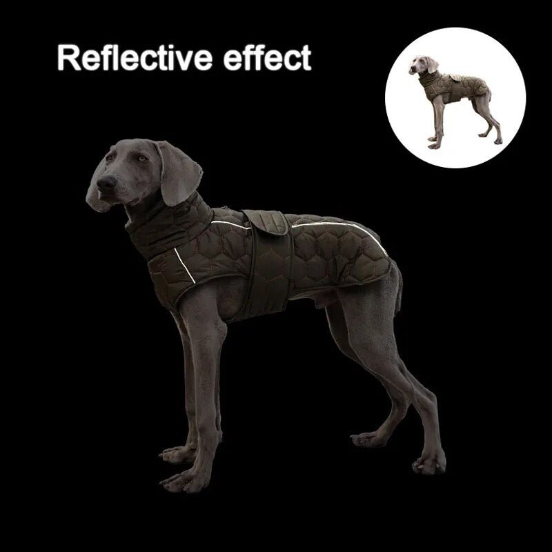 Highland Hound Reflective Winter Coat: Luxe Warmth for All Breeds - Annie Paw WearWinter OutwearAnniePaw Wear