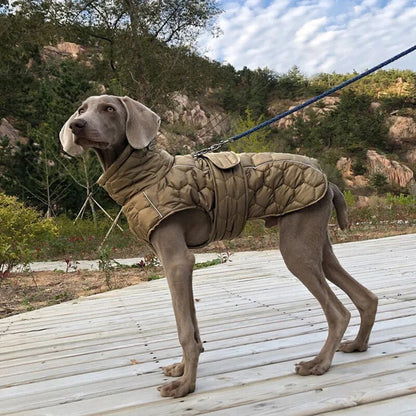 Highland Hound Reflective Winter Coat: Luxe Warmth for All Breeds - Annie Paw WearWinter OutwearAnniePaw Wear