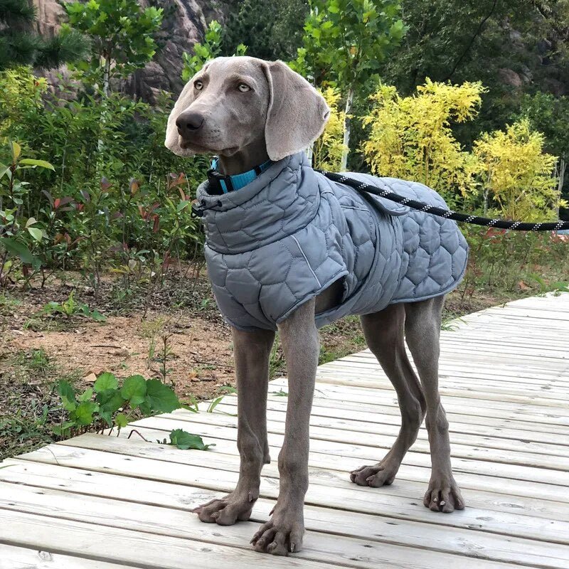 Highland Hound Reflective Winter Coat: Luxe Warmth for All Breeds - Annie Paw WearWinter OutwearAnniePaw Wear