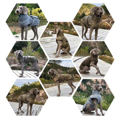 Highland Hound Reflective Winter Coat: Luxe Warmth for All Breeds - Annie Paw WearWinter OutwearAnniePaw Wear