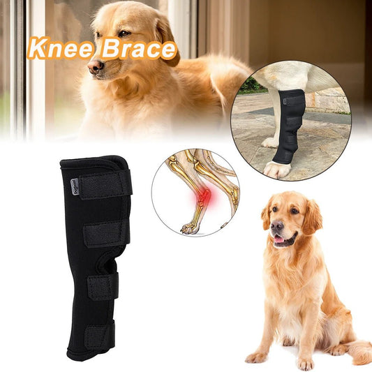 Injury Wrap Protector Dog Support Brace Dog Wrist Guard Legs Protector - Annie Paw WearNursing & ReliefAnnie Paw Wear