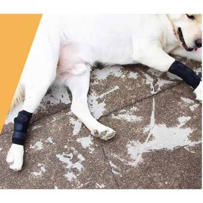 Knee Pads Support Brace for Dog Leg Breathable Injury Recover Bandage 1 Pc - Annie Paw WearNursing & ReliefAnnie Paw Wear