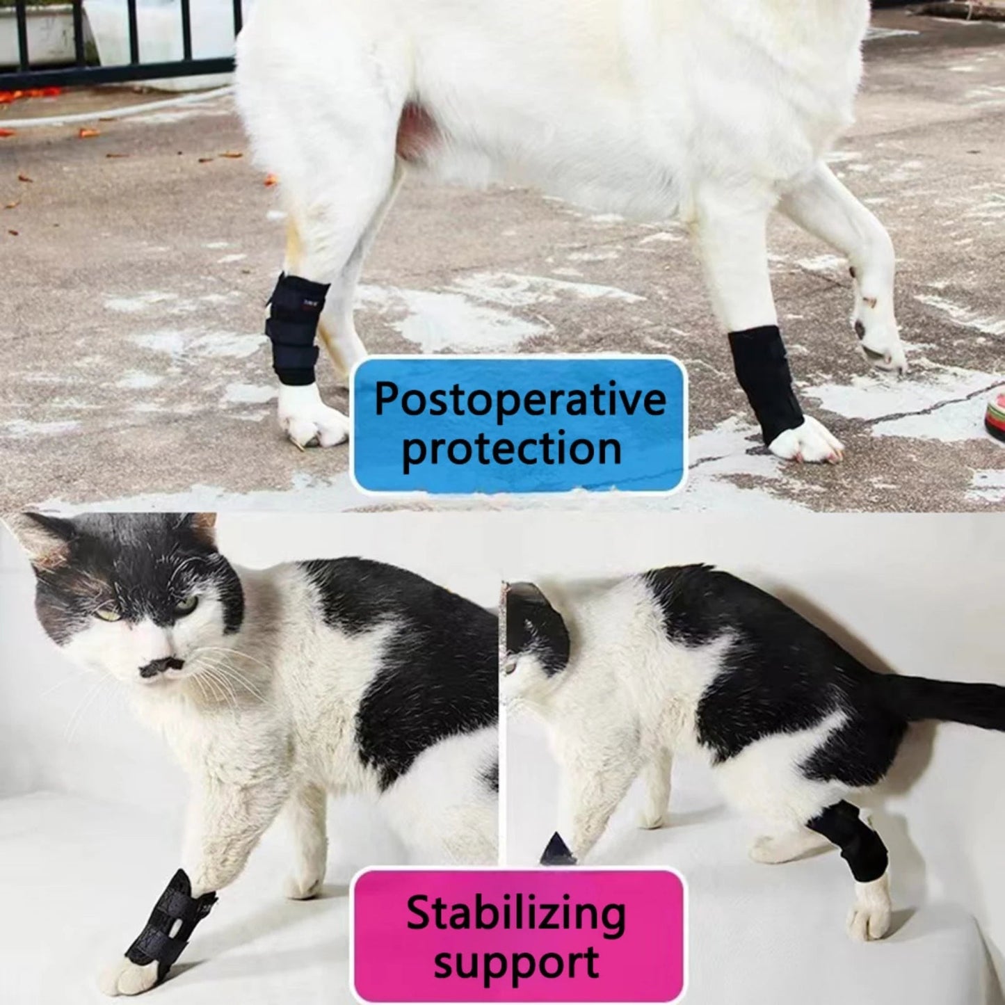 Knee Pads Support Brace for Dog Leg Breathable Injury Recover Bandage 1 Pc - Annie Paw WearNursing & ReliefAnnie Paw Wear