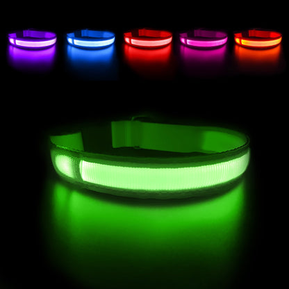 LED Luminous Waterproof Safety Night light Glow Necklace Dog Collar - Annie Paw WearCollar & LeashAnniePaw Wear